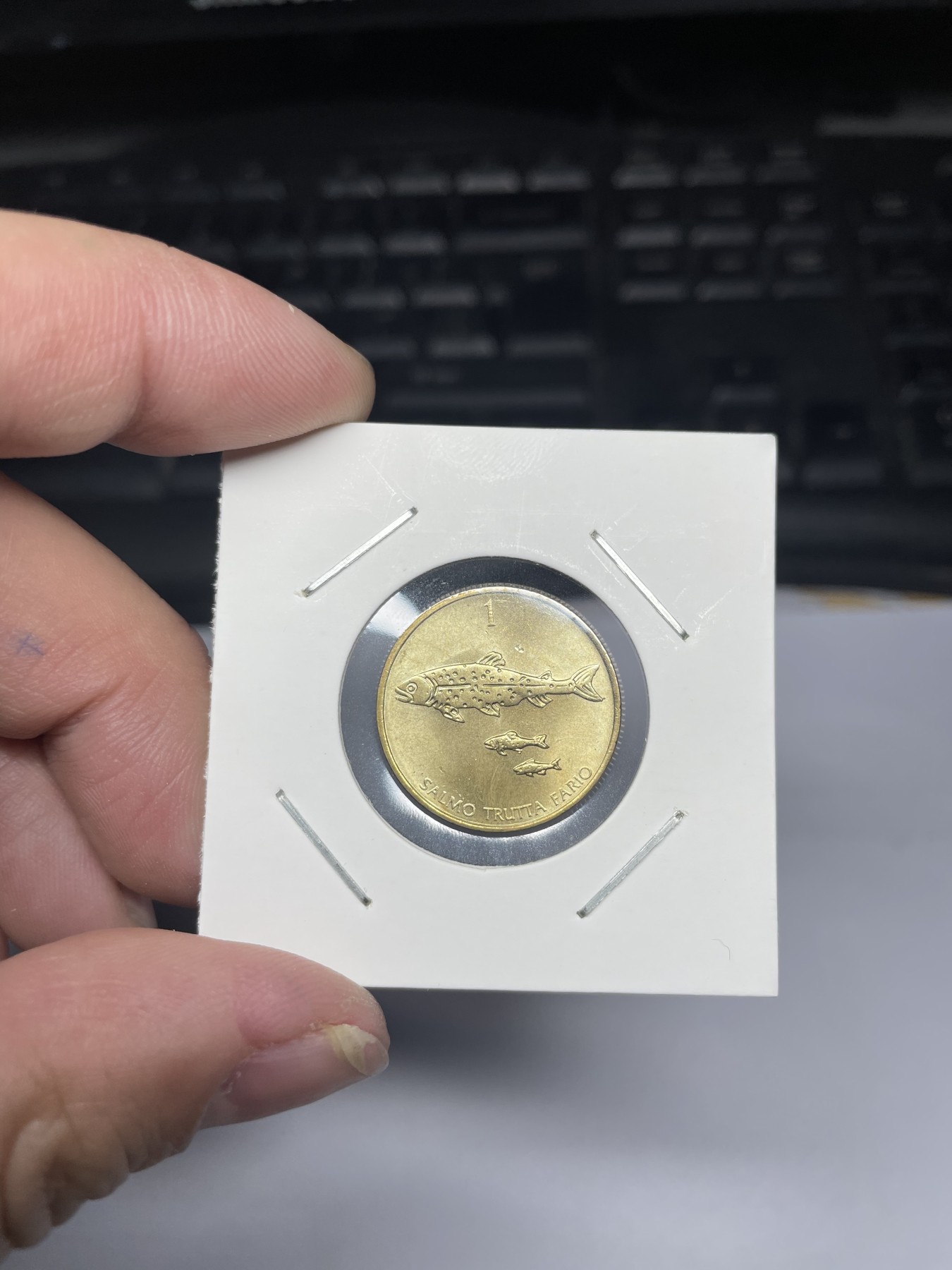 2024年集古藏今外币拍卖第三期-第3场—原光币、带光币专场（总第23拍） 1993年斯洛文尼亚1托拉