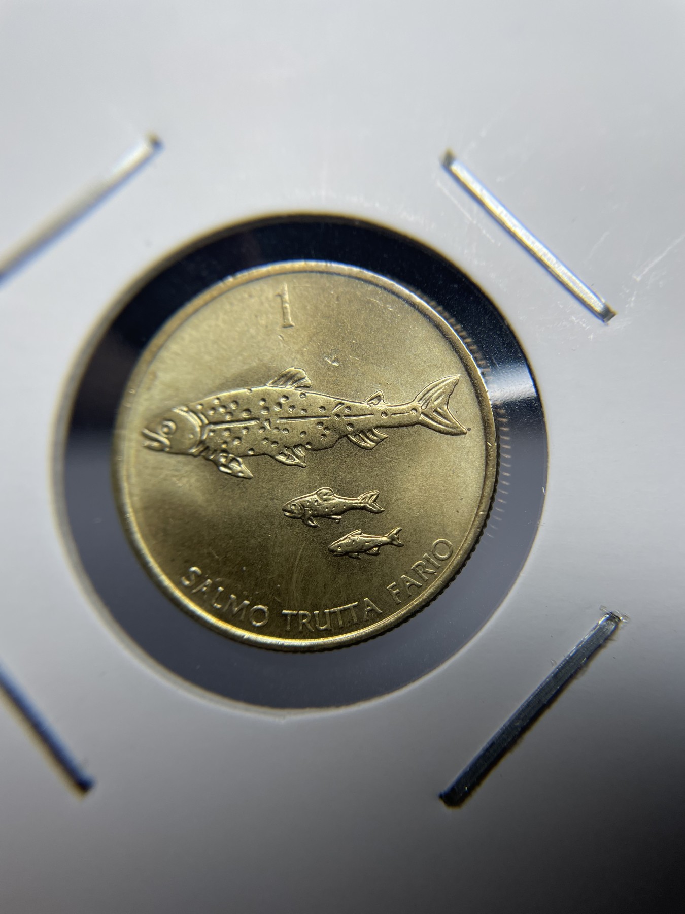 2024年集古藏今外币拍卖第三期-第3场—原光币、带光币专场（总第23拍） 1993年斯洛文尼亚1托拉