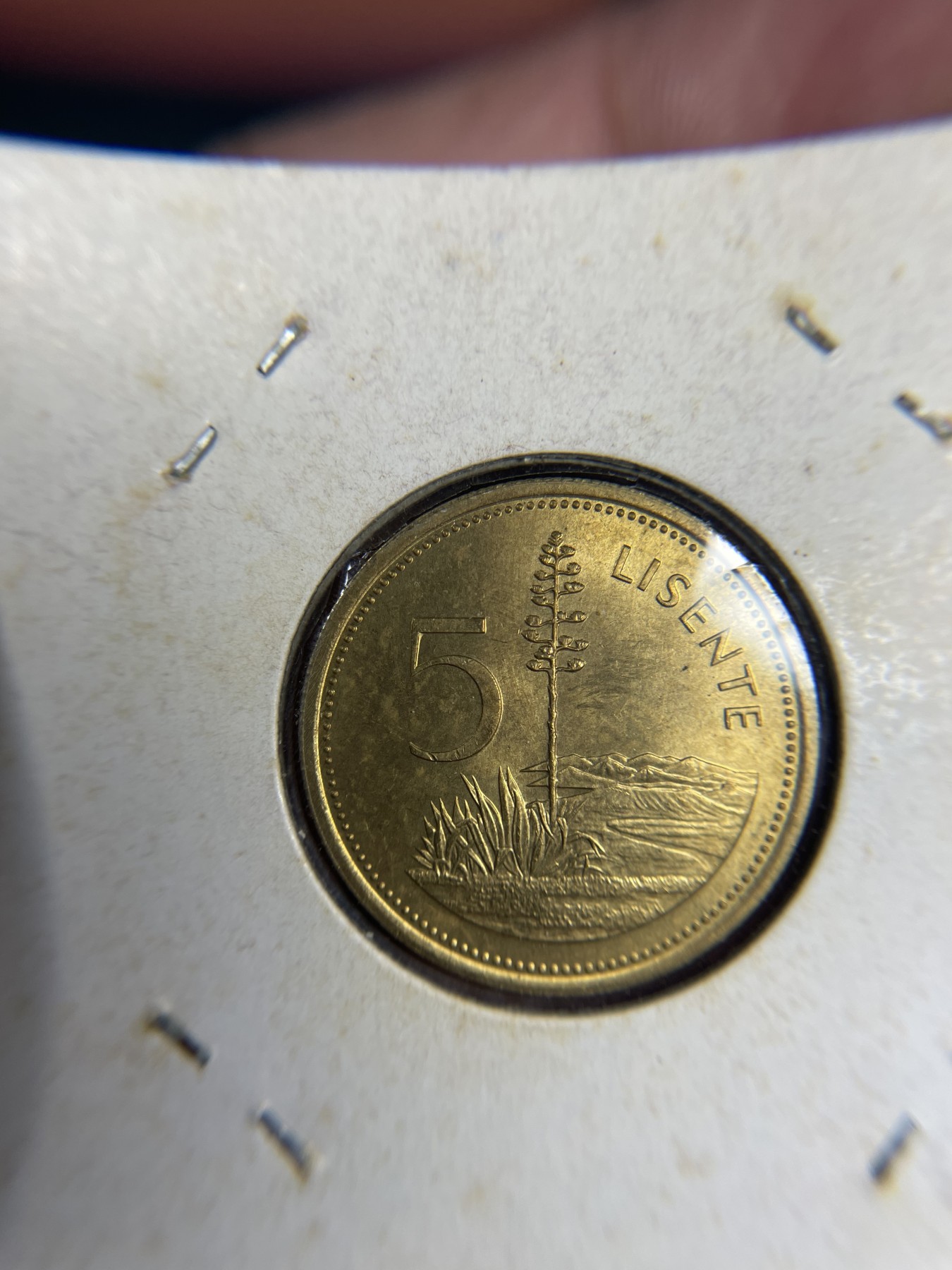 2024年集古藏今外币拍卖第三期-第3场—原光币、带光币专场（总第23拍） 1979年莱索托5黎森特