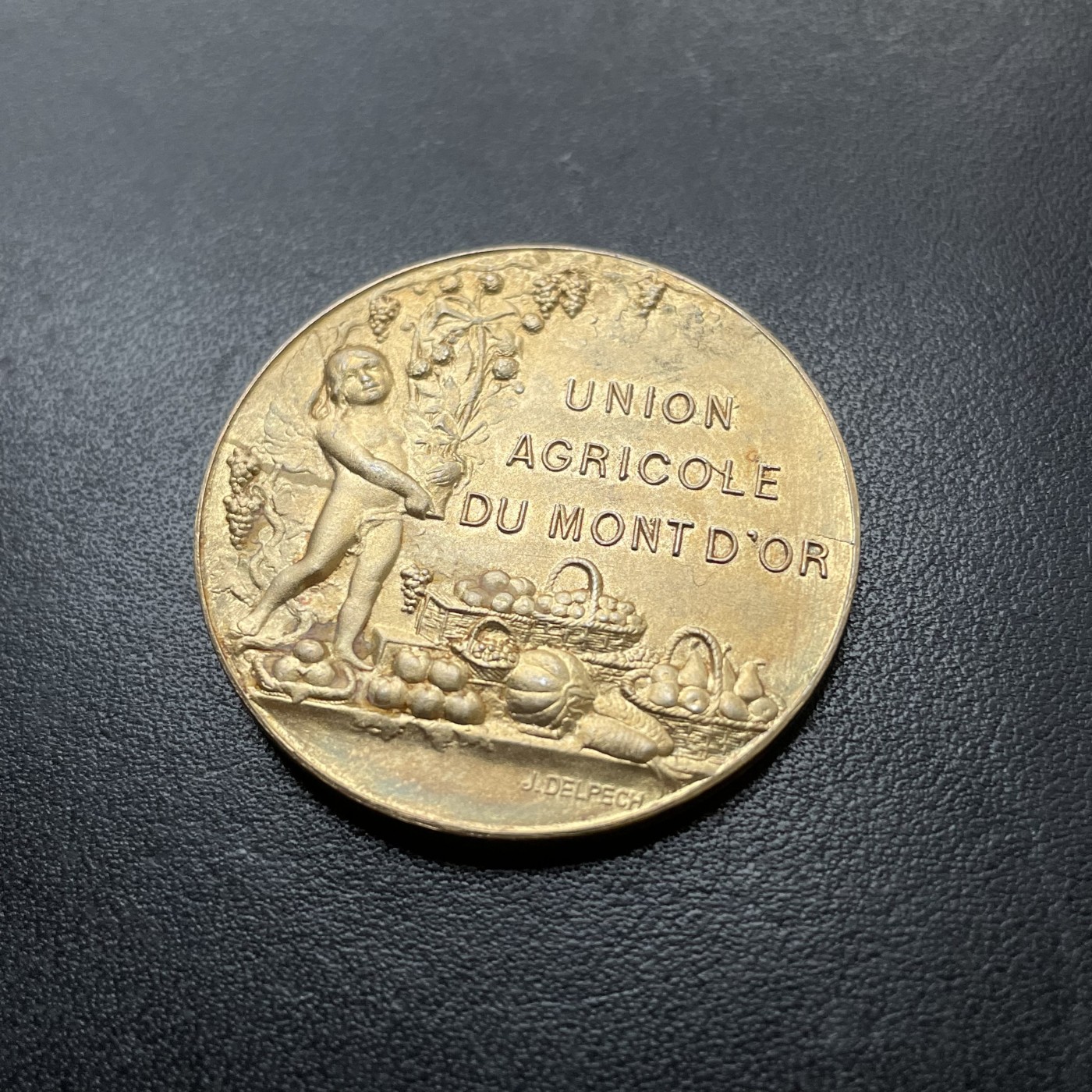 「木头集藏」章牌专场-第39期 O.Roty～法国金山农业联合会镀金银章  直径：36.5 mm，23g ，边铭：丰饶角 1 ARGENT，品相不错。