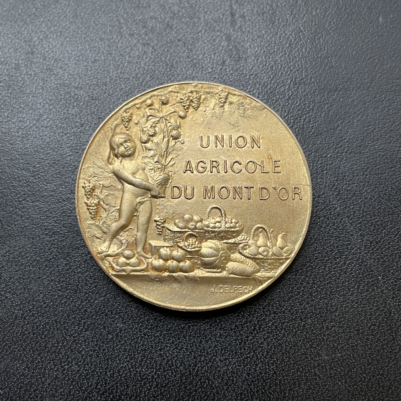 「木头集藏」章牌专场-第39期 O.Roty～法国金山农业联合会镀金银章  直径：36.5 mm，23g ，边铭：丰饶角 1 ARGENT，品相不错。