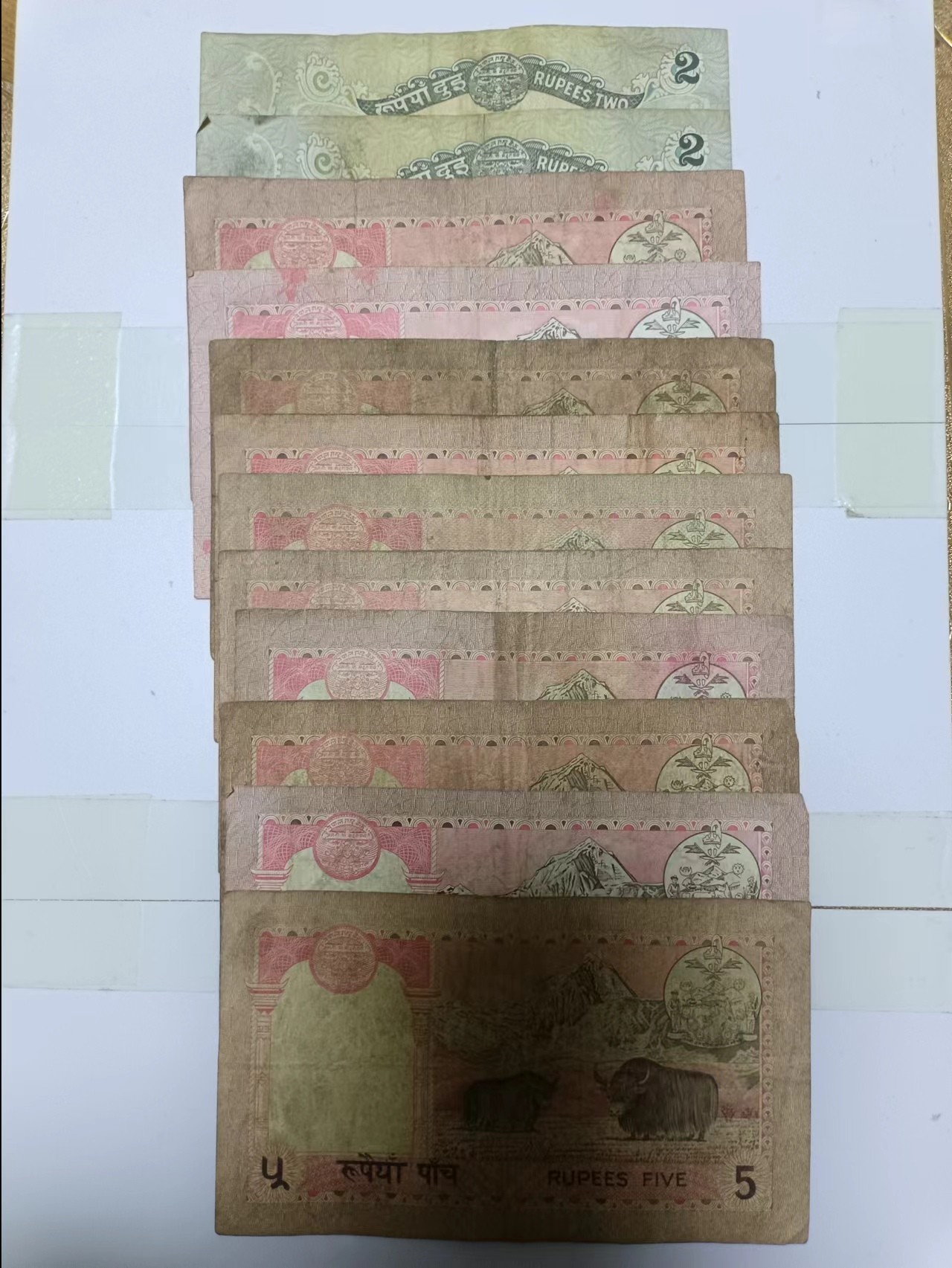 【20240401】非全新硬币和纸币第126场 尼泊尔12张纸币