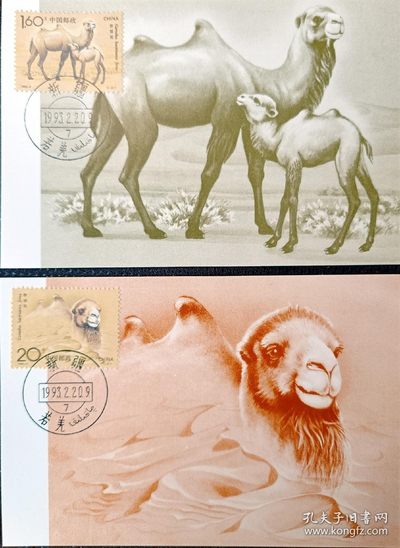 【君缘收藏】第49期↙↙↙↙无佣金、可寄存、满10元包邮  - 极限片，集邮总公司 MC-15 野骆驼 极限明信片