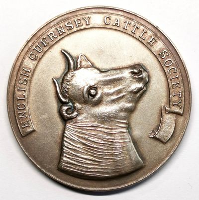 凡希社世界钱币微拍第二百六十五期 - 1964英国根西牛饲养协会银质奖章 50mm，53g。