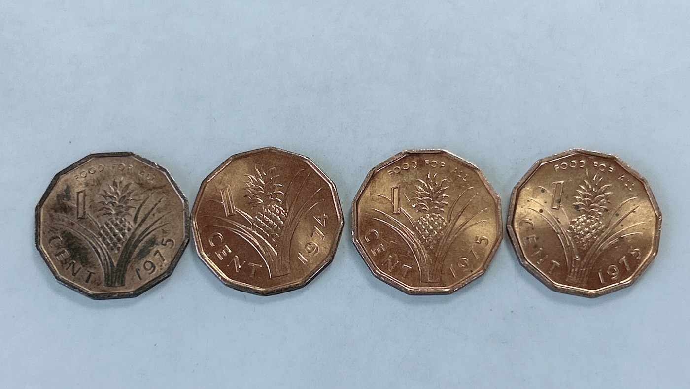 第一海外回流一元起拍收藏 散币专场 第75期 斯威士兰70年代1分 4枚