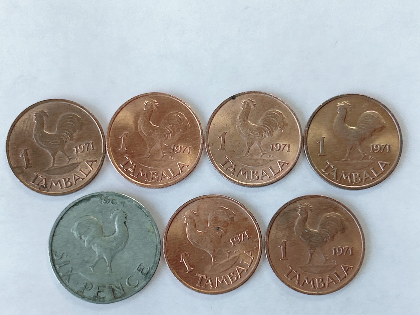 第一海外回流一元起拍收藏 散币专场 第75期 马拉维 公鸡