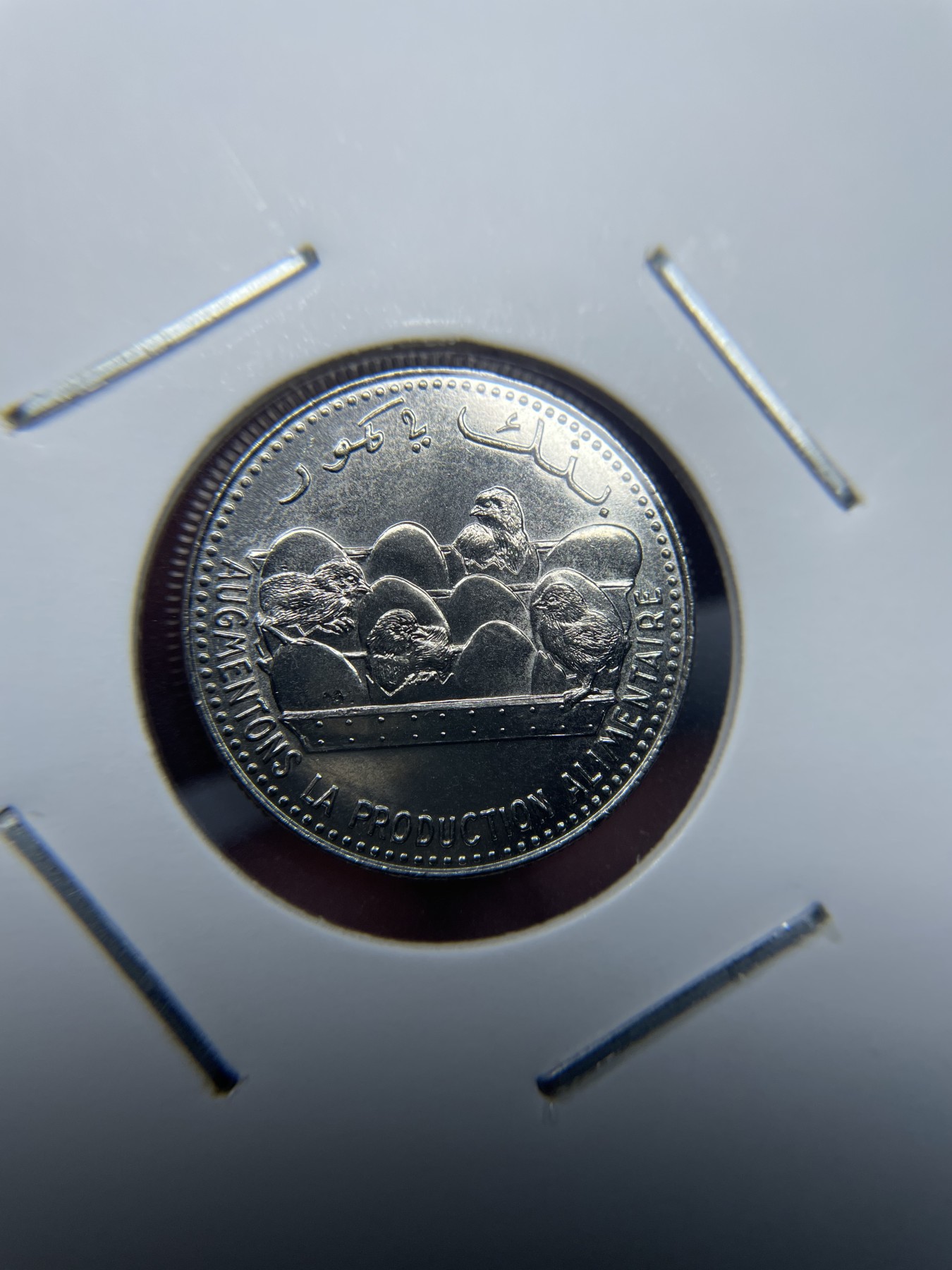 2024年集古藏今外币拍卖第三期-第9场—（总第29拍） 1982年科摩罗25法郎-小鸡孵化