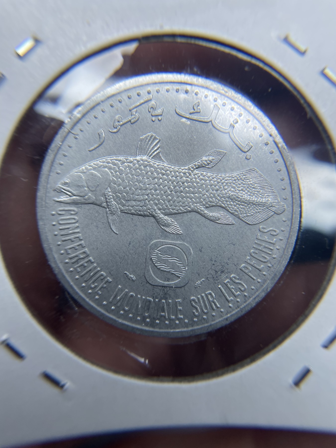 2024年集古藏今外币拍卖第三期-第9场—（总第29拍） 科摩罗1992年5法郎-世界上最古老的鱼种腔棘鱼-恐龙时代的活化石