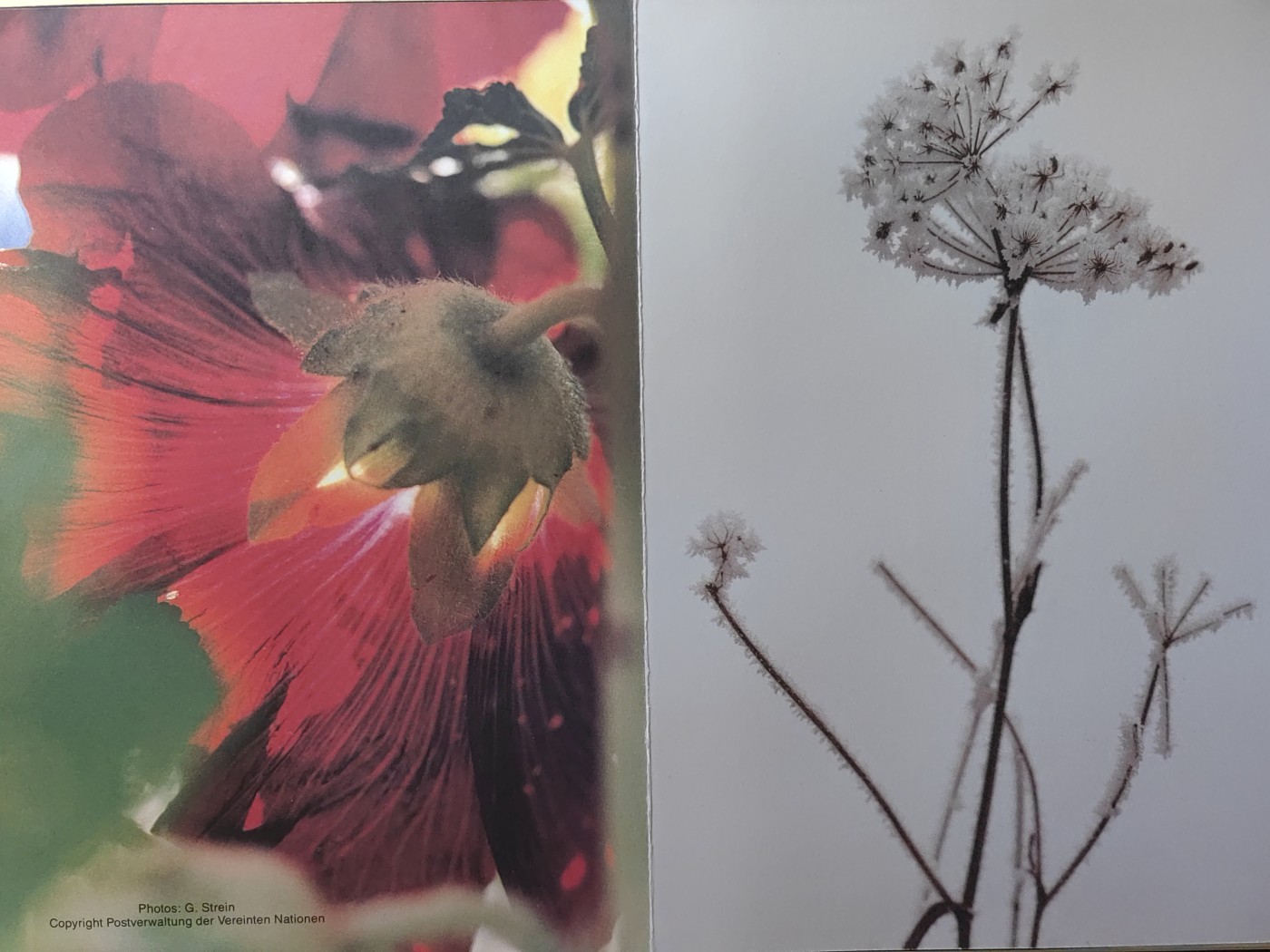 邮折✌（拍卖专场）精品🔥专场 第60场 联合国发行 艺术绘画 奇幻魔幻 儿童 太阳