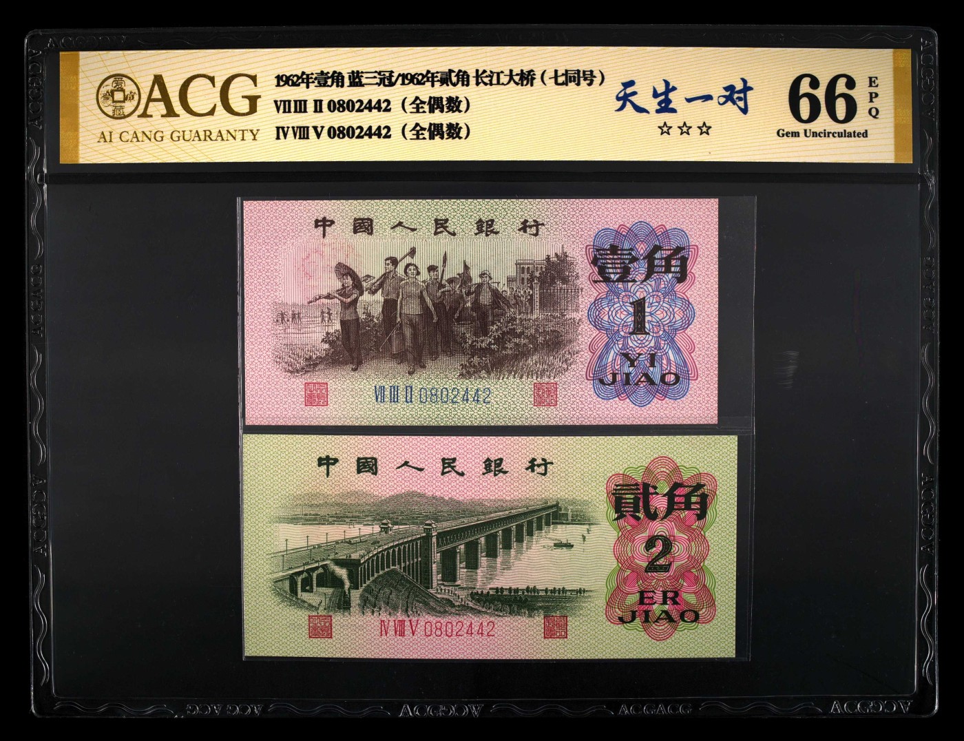 三版双胞胎