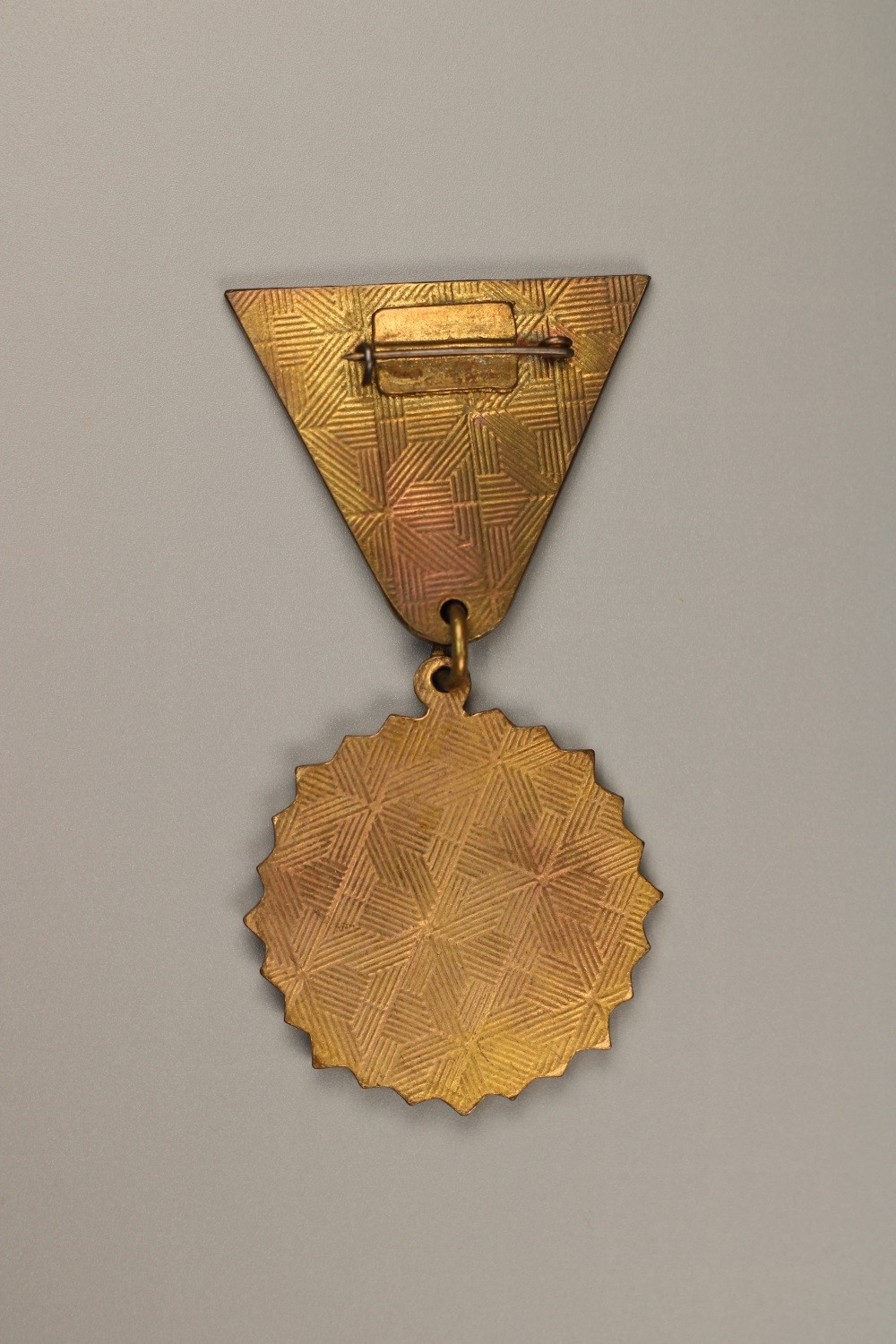 秋玥章舍蒙古徽章第一期 蒙古人民革命80周年荣誉奖章