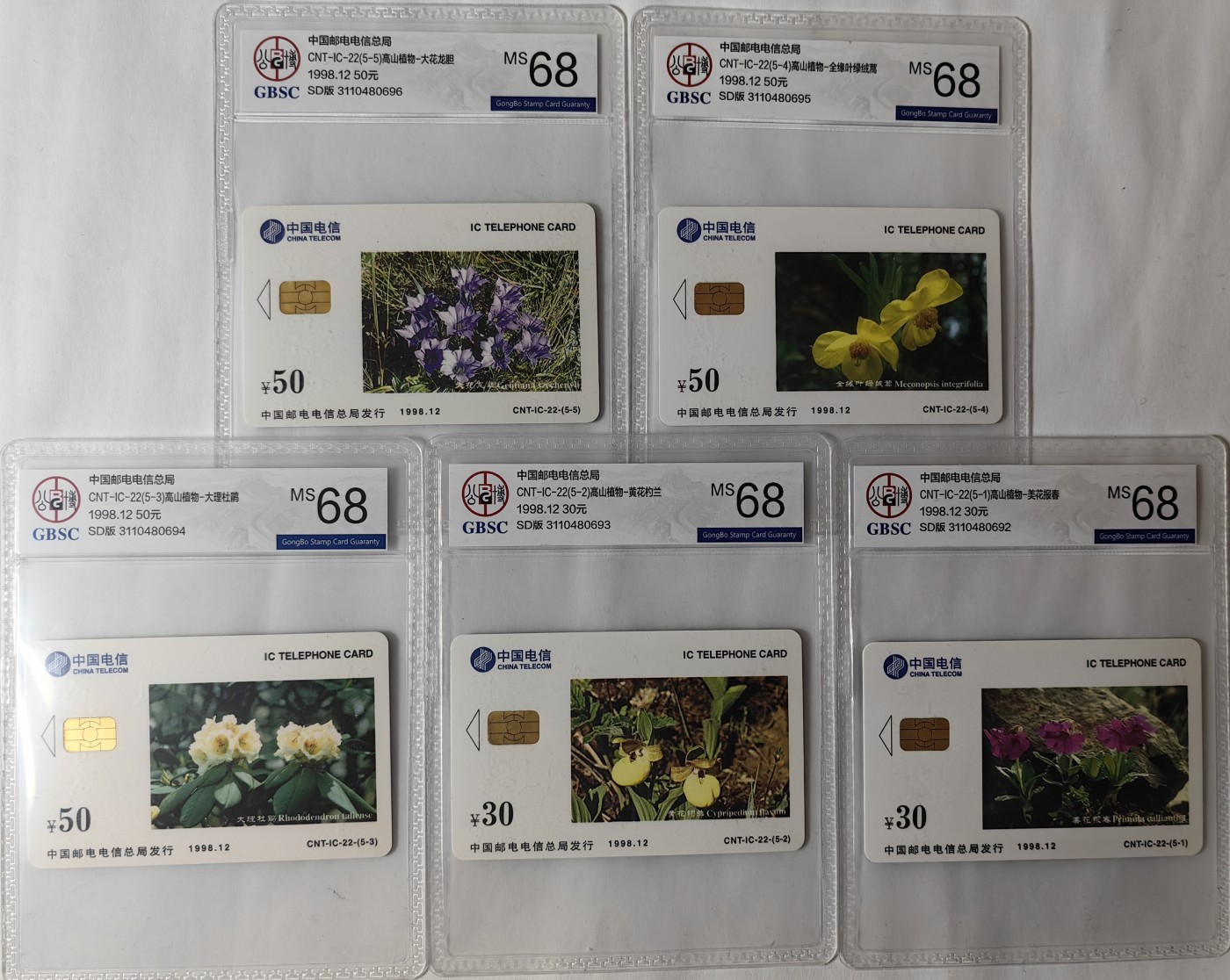 IC01-75评级卡拍卖(4.10日19:30开拍)第18期 IC22高山植物公博68