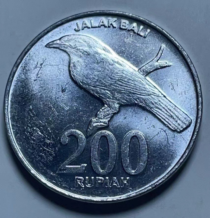 神仙姐姐散币好品专场第二十七期（无佣金满邮自动发出 2003年 印度尼西亚200盾