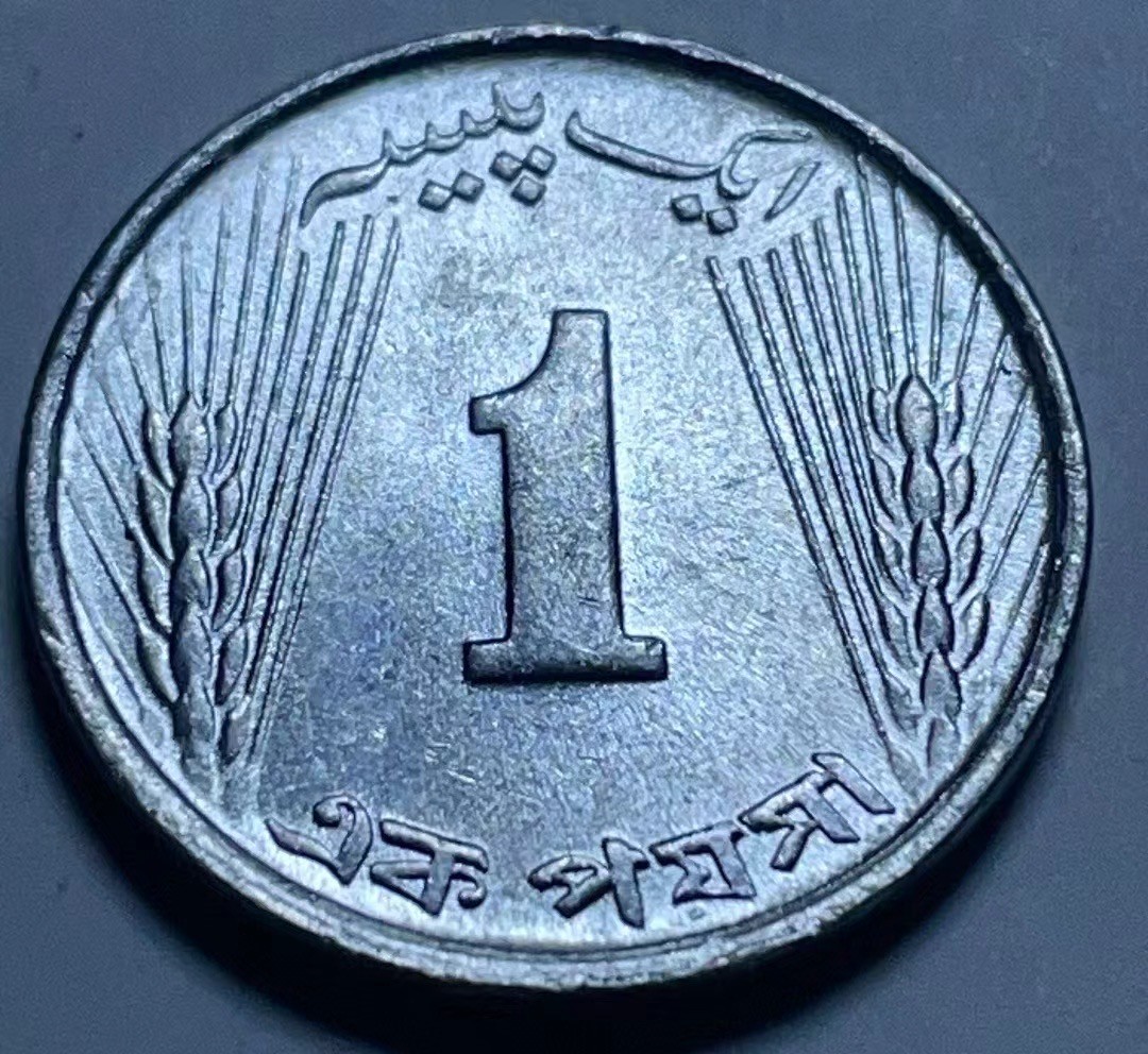 神仙姐姐散币好品专场第二十七期（无佣金满邮自动发出 1972年 巴基斯坦1派莎