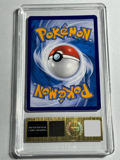 简中 2023年 PTCG 宝可梦 SR 武藏与小次郎 PCG 9.5