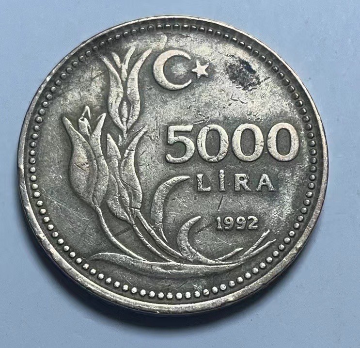 神仙姐姐散币好品专场第二十七期（无佣金满邮自动发出 1992年 土耳其5000里拉