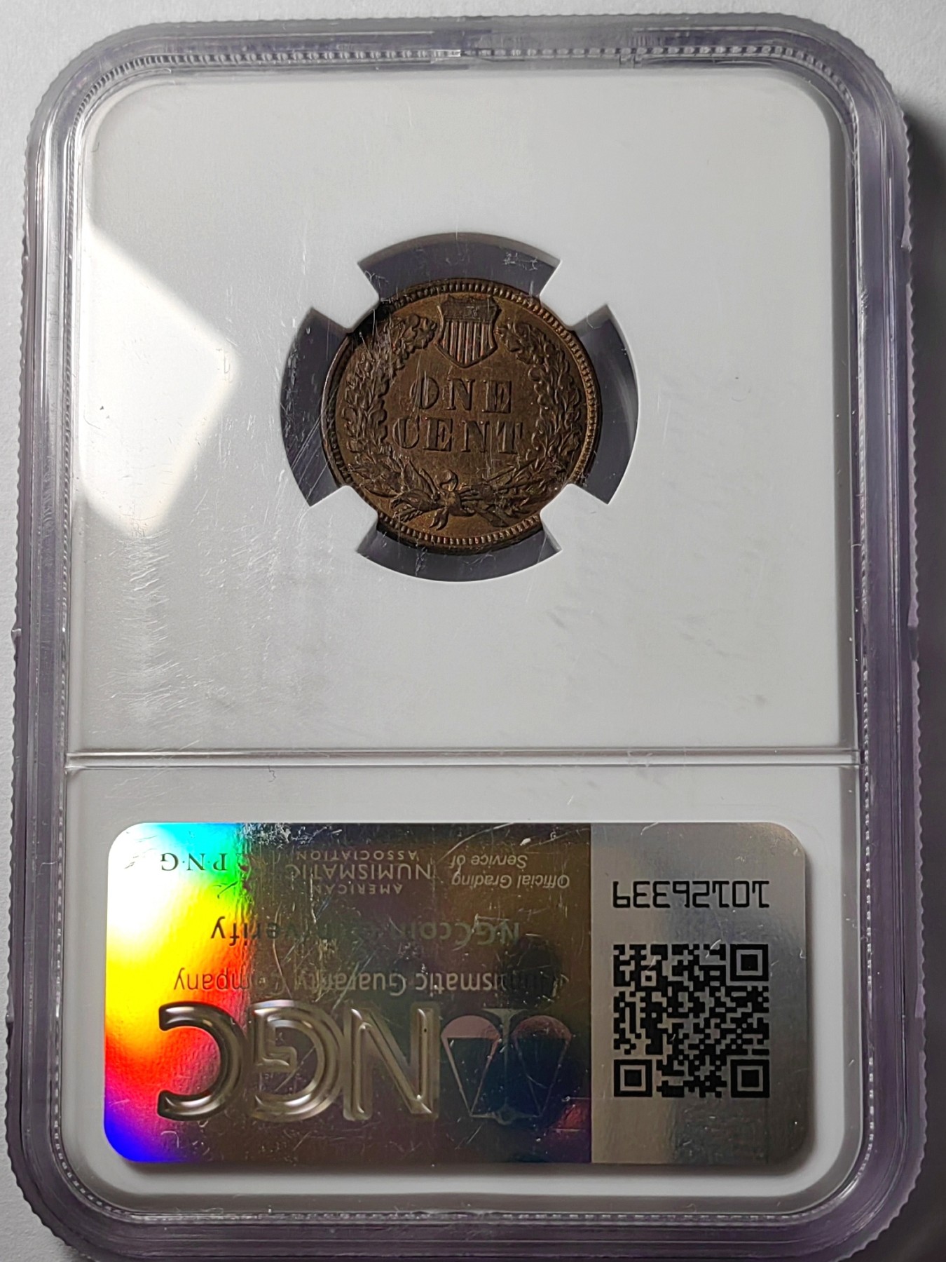 🌿物与斋第七场｜觞咏三春2-世界钱币专场 NGC UNCD 美国1880年印第安美分，带原铜光，原始包浆细节好