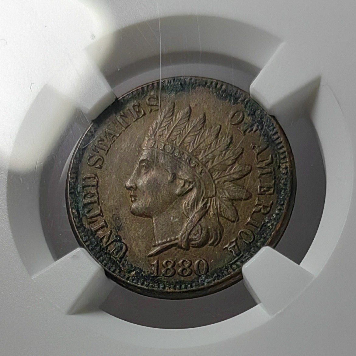 🌿物与斋第七场｜觞咏三春2-世界钱币专场 NGC UNCD 美国1880年印第安美分，带原铜光，原始包浆细节好