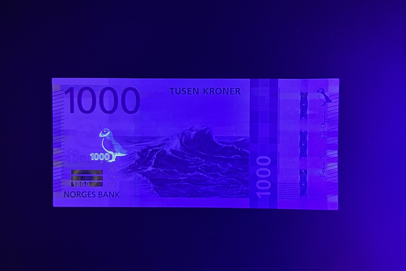 【丑猫0413】今晚6点半，全裸场 挪威1000unc(无47)