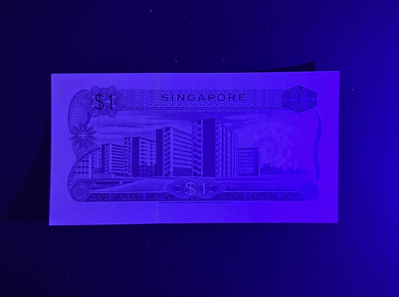 【丑猫0413】今晚6点半，全裸场 新加坡花1unc