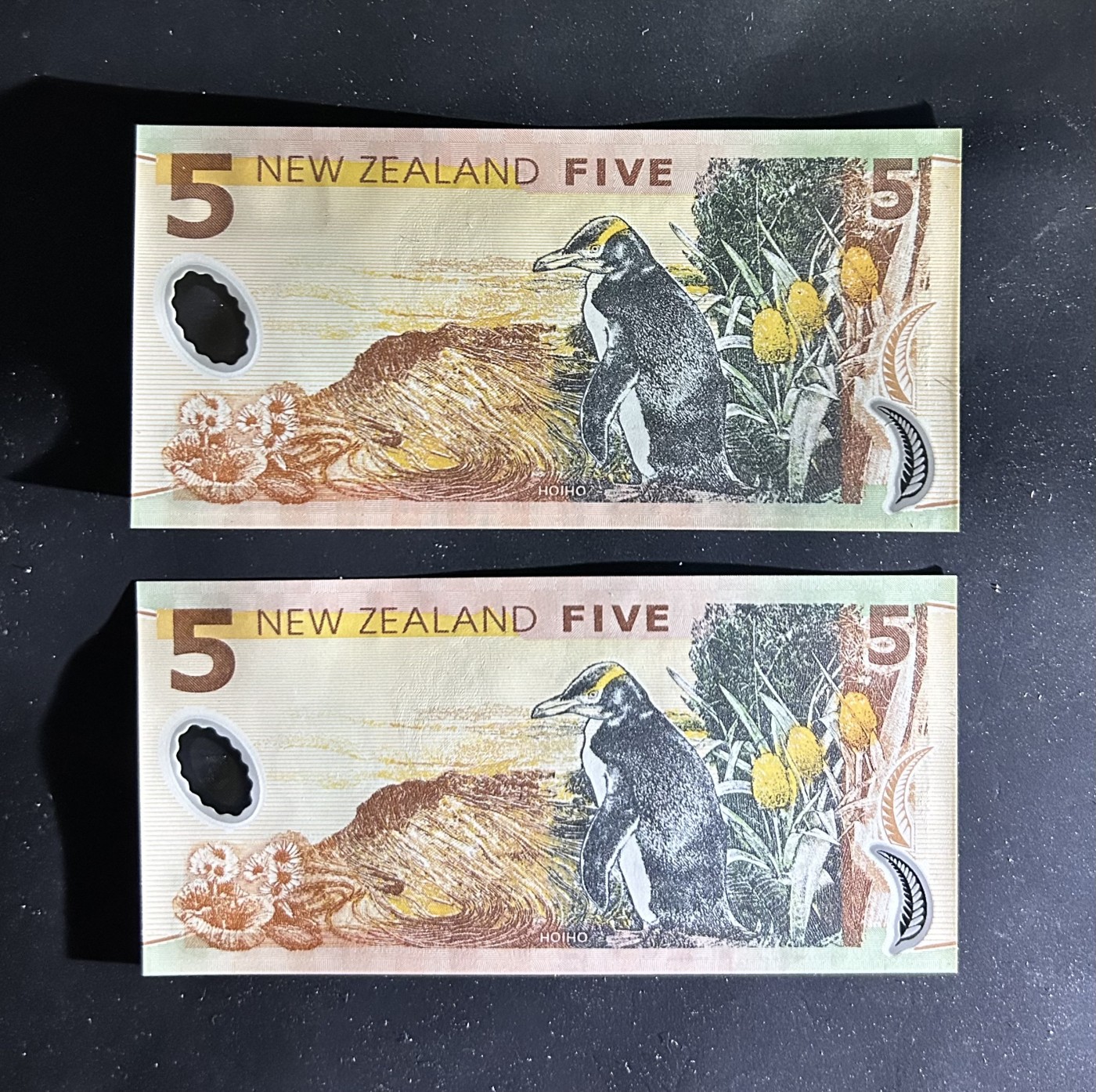 【丑猫0413】今晚6点半，全裸场 新西兰5unc*2