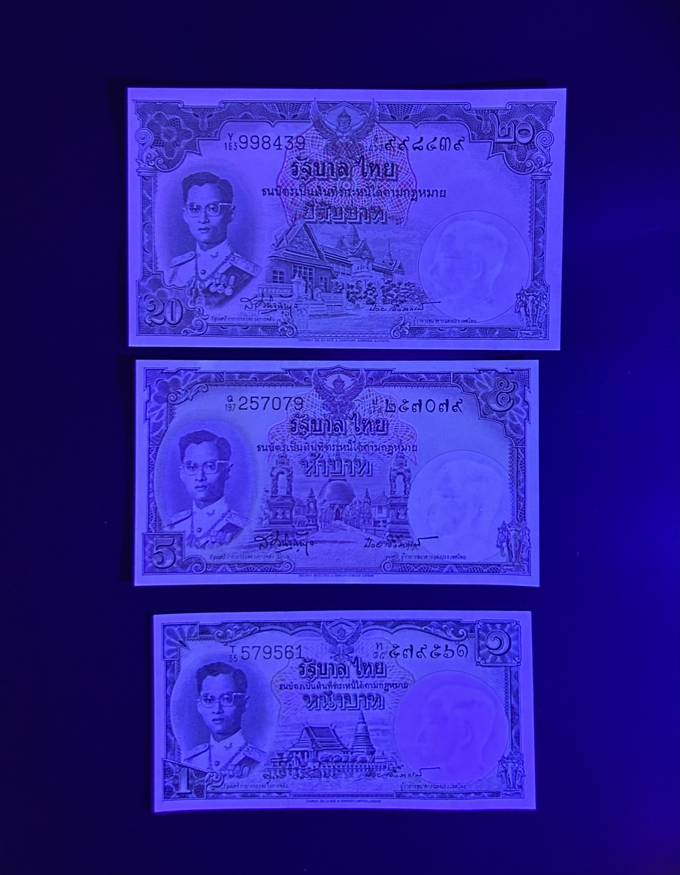 【丑猫0413】今晚6点半，全裸场 50年代泰国unc*3