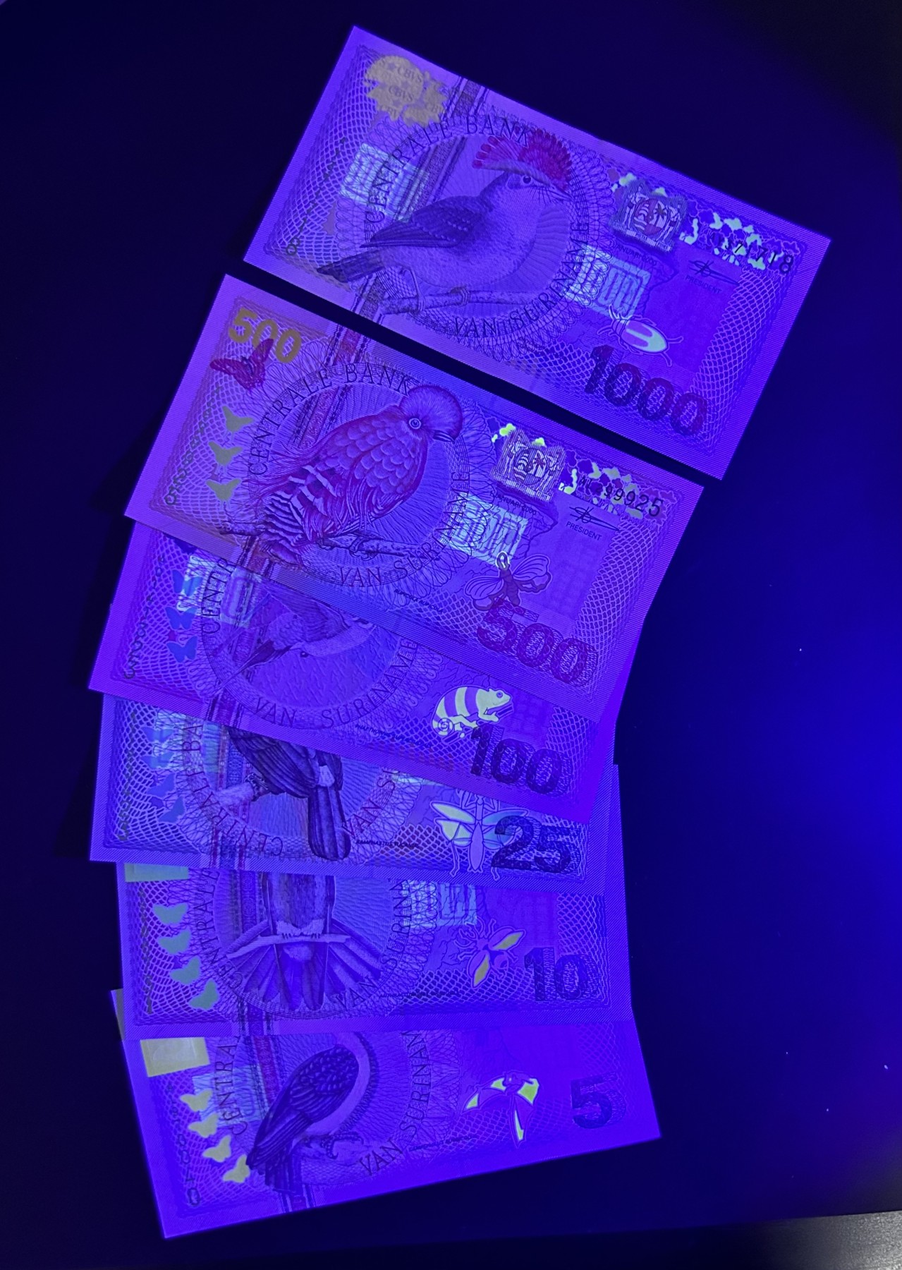 【丑猫0413】今晚6点半，全裸场 苏里南unc*6