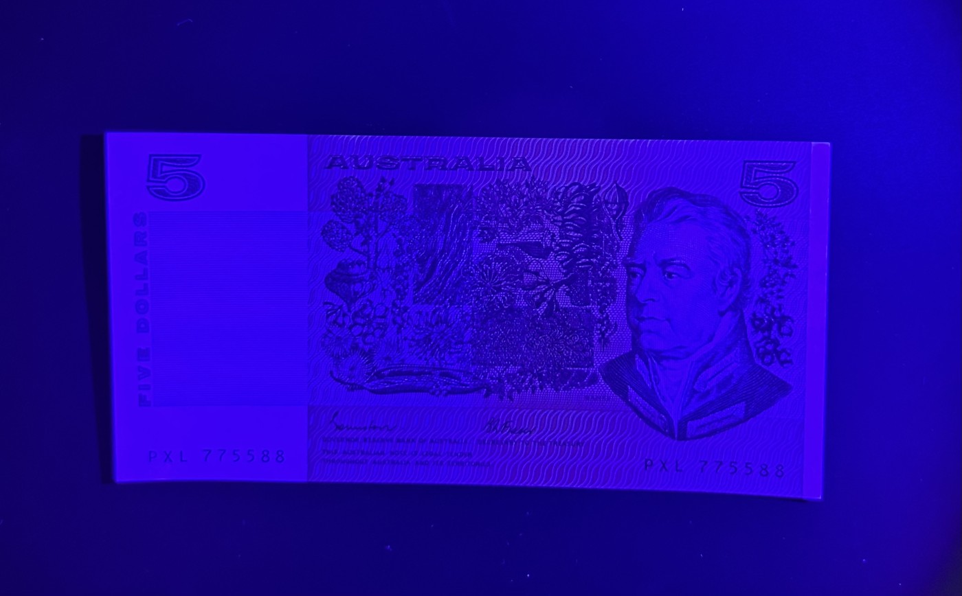 【丑猫0413】今晚6点半，全裸场 澳洲5unc