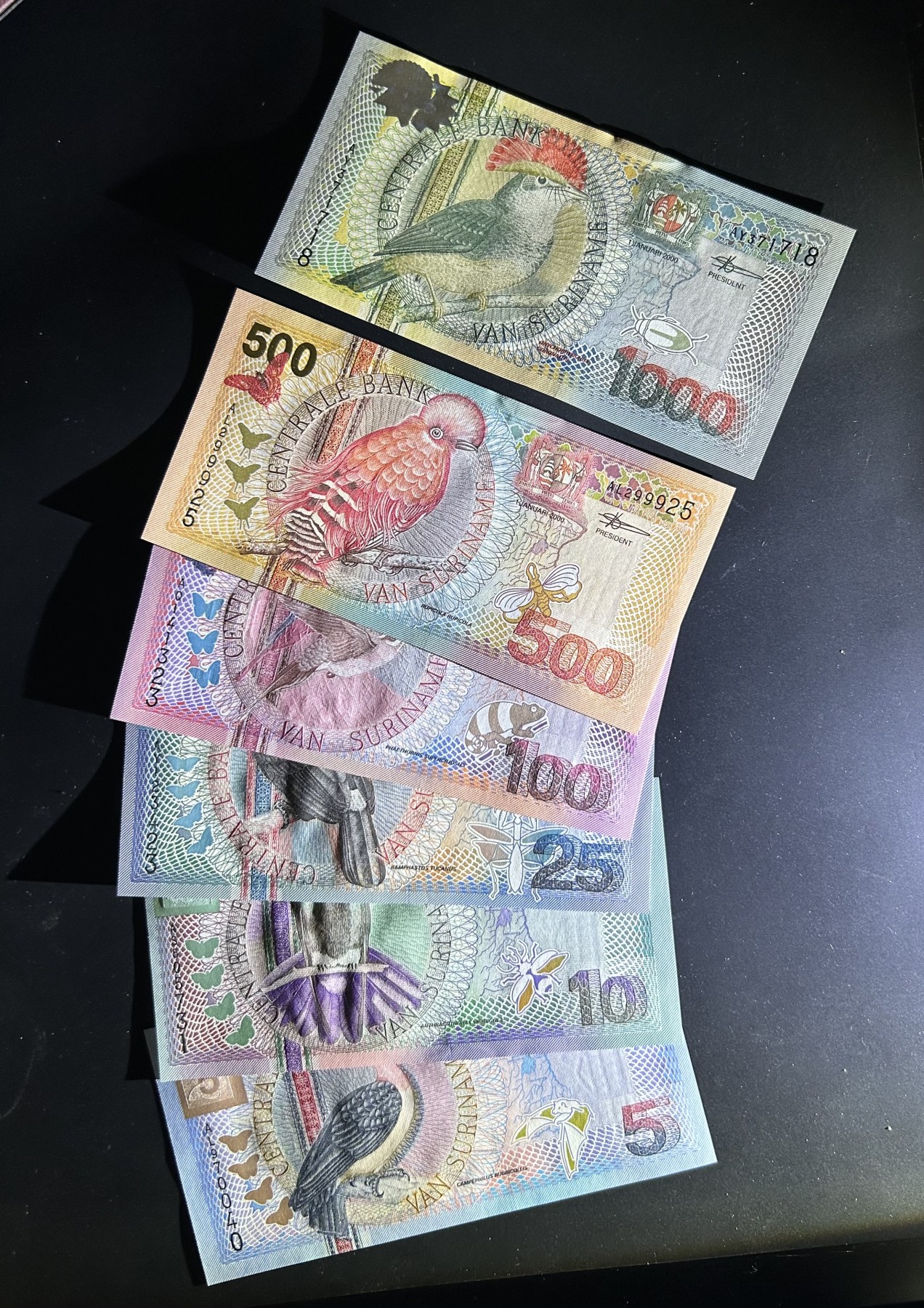 【丑猫0413】今晚6点半，全裸场 苏里南unc*6