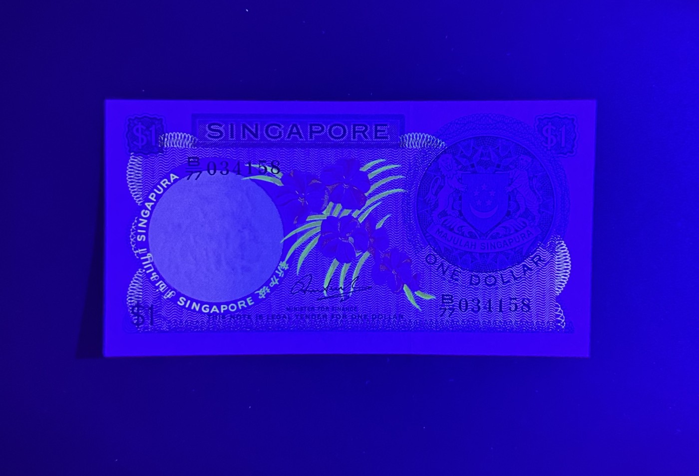 【丑猫0413】今晚6点半，全裸场 新加坡花1unc