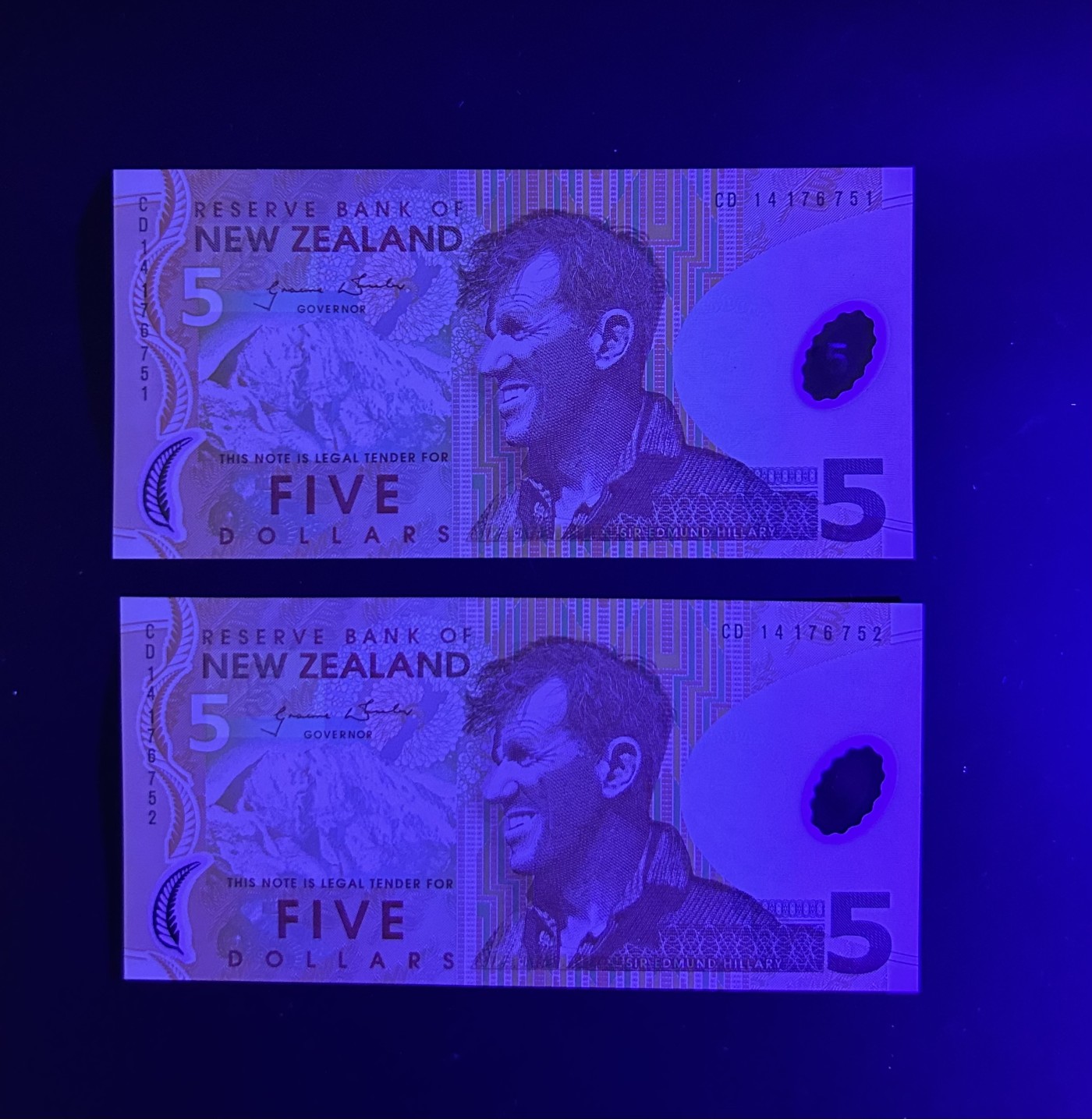 【丑猫0413】今晚6点半，全裸场 新西兰5unc*2