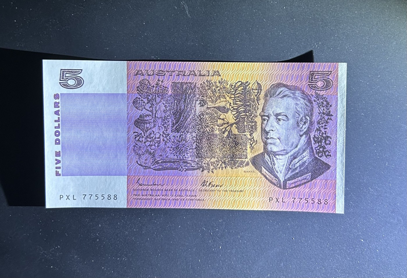 【丑猫0413】今晚6点半，全裸场 澳洲5unc