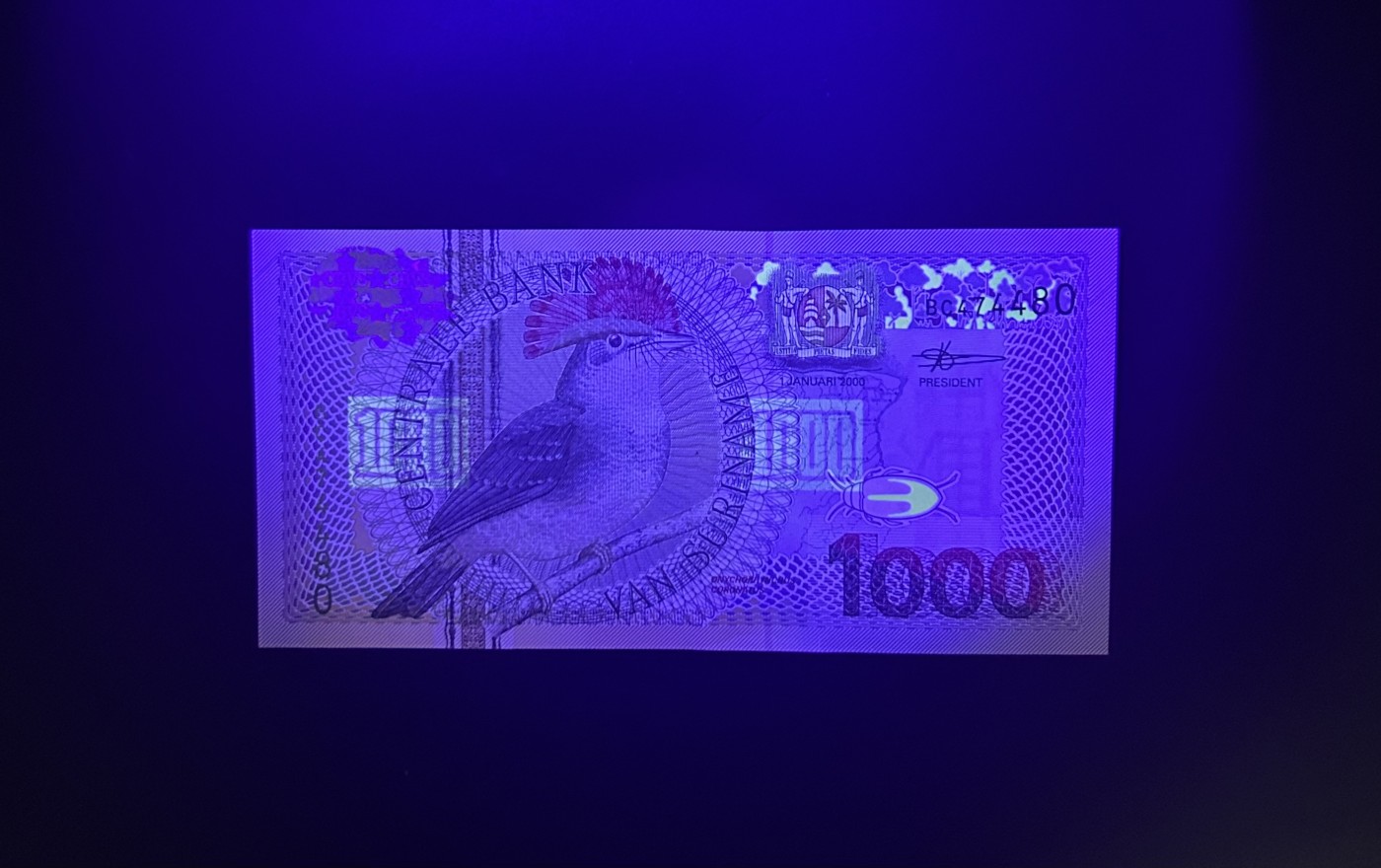 【丑猫0413】今晚6点半，全裸场 苏里南1000unc