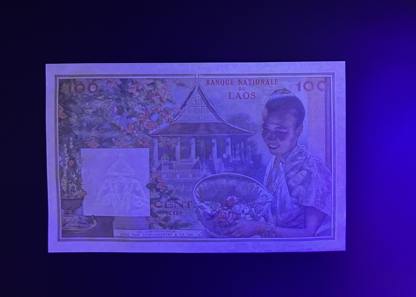 【丑猫0413】今晚6点半，全裸场 老挝猪哥unc