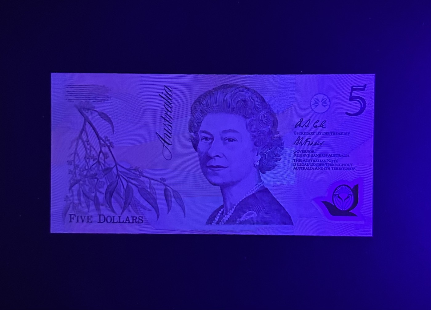 【丑猫0413】今晚6点半，全裸场 92年澳洲AA初版5unc