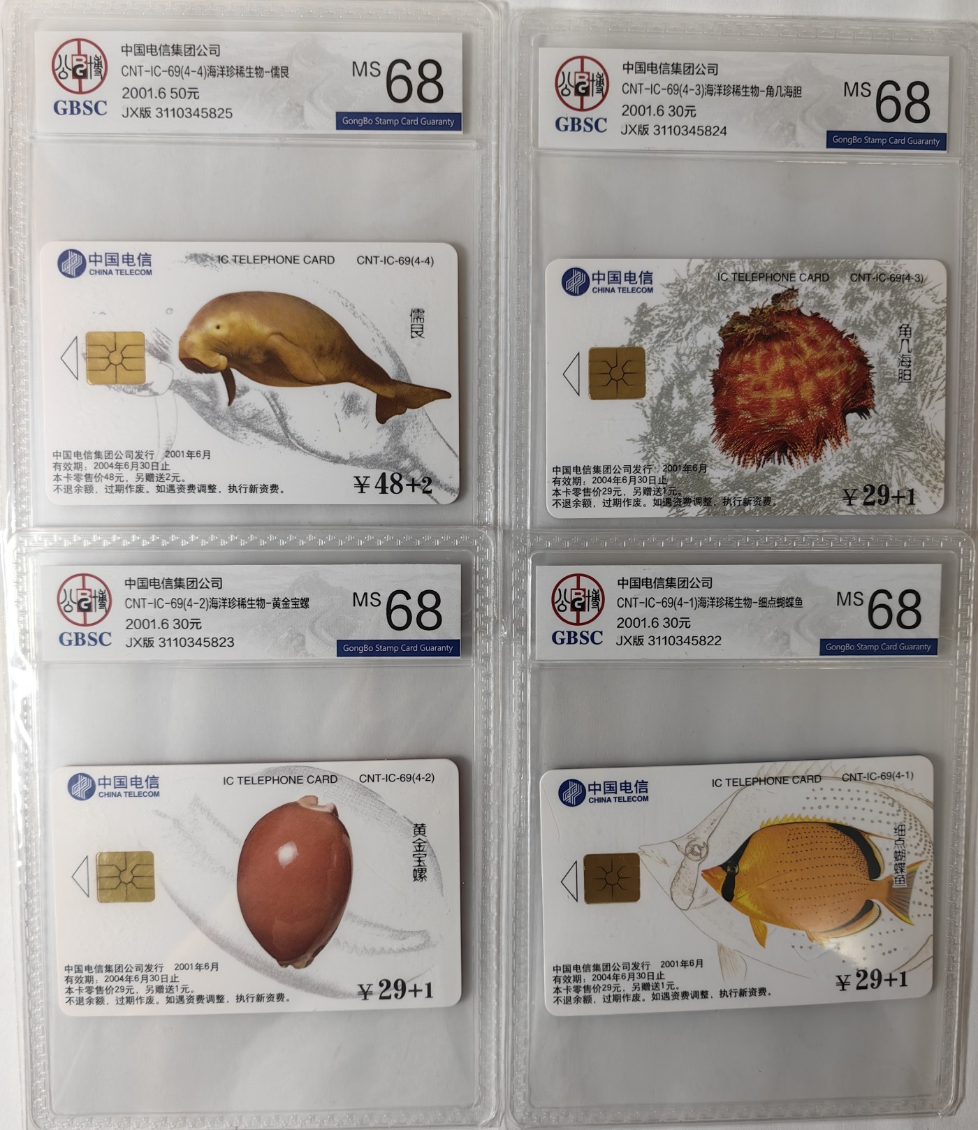IC01-75评级卡拍卖(4.10日19:30开拍)第18期 IC69海洋生物公博68