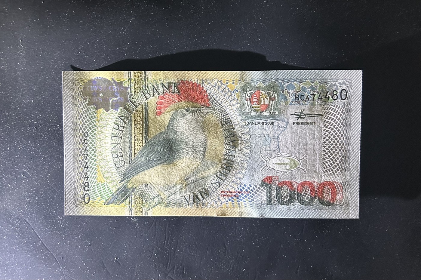 【丑猫0413】今晚6点半，全裸场 苏里南1000unc