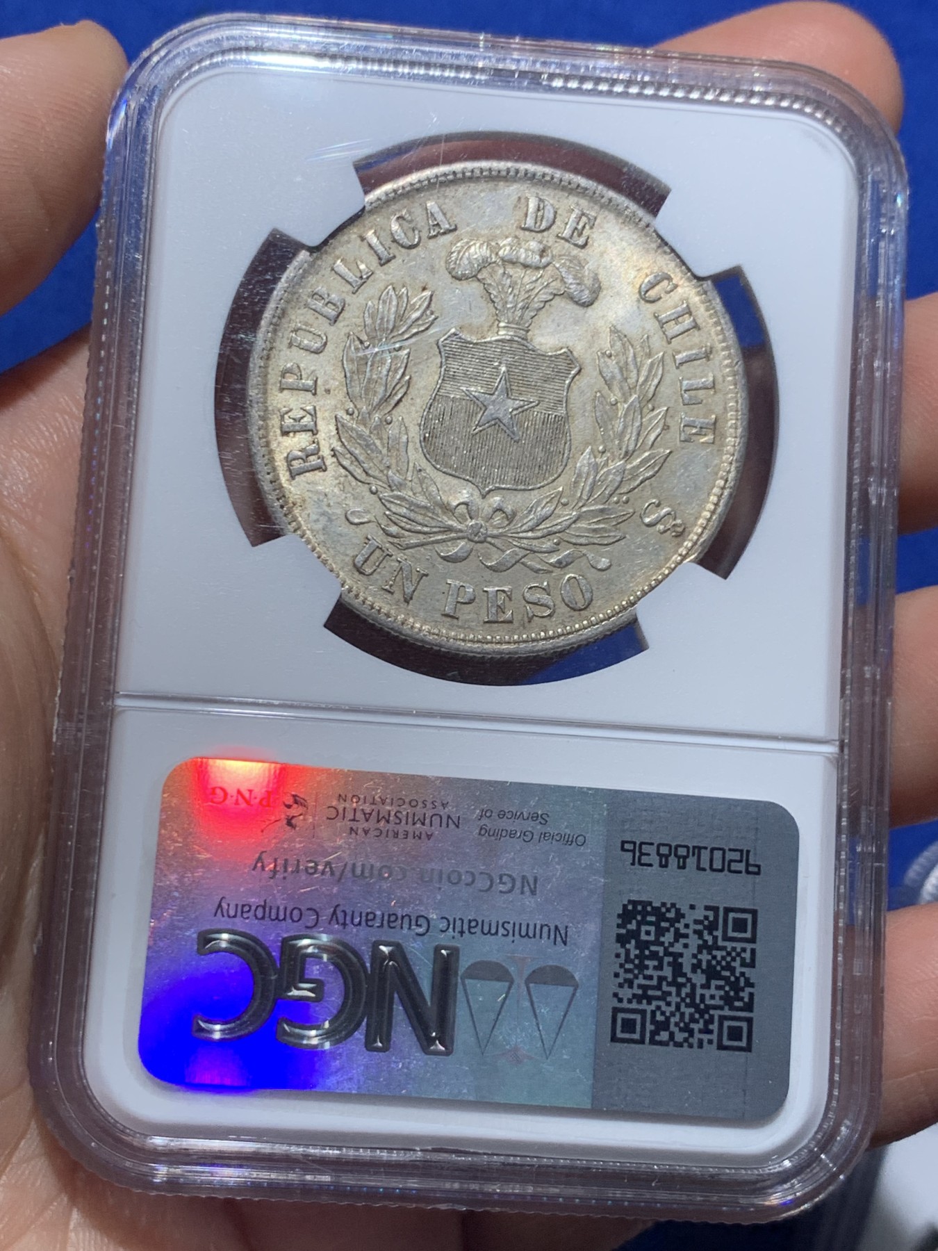 《竞宝斋》第257场-周日，周一 2场连拍 (全场包邮) NGC MS63 智利1884年秃鹰1比索，双面黄油彩非常见白币可比，为1883年硝石战争结束首先版，非常稀少，意义非凡。