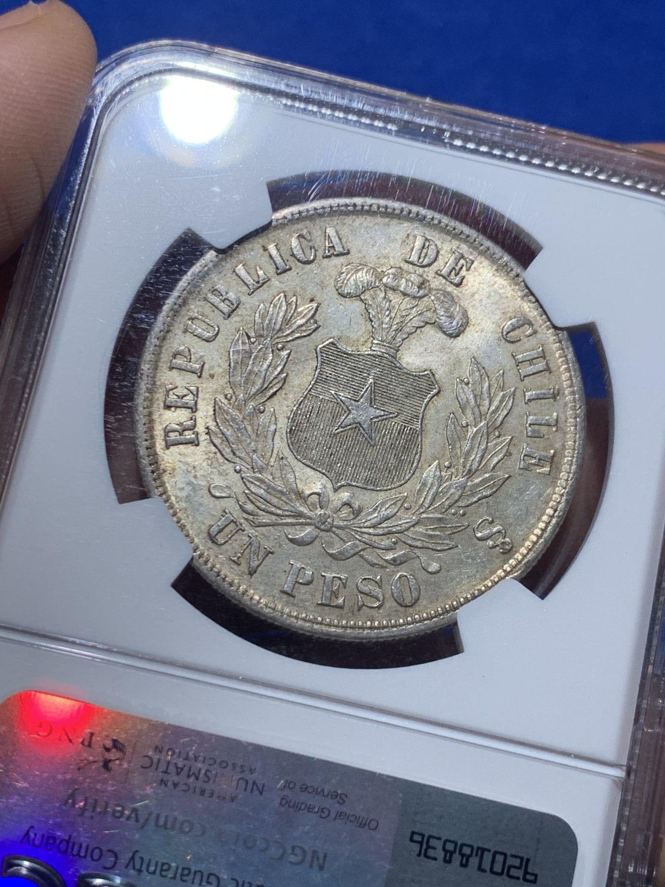 《竞宝斋》第257场-周日，周一 2场连拍 (全场包邮) NGC MS63 智利1884年秃鹰1比索，双面黄油彩非常见白币可比，为1883年硝石战争结束首先版，非常稀少，意义非凡。