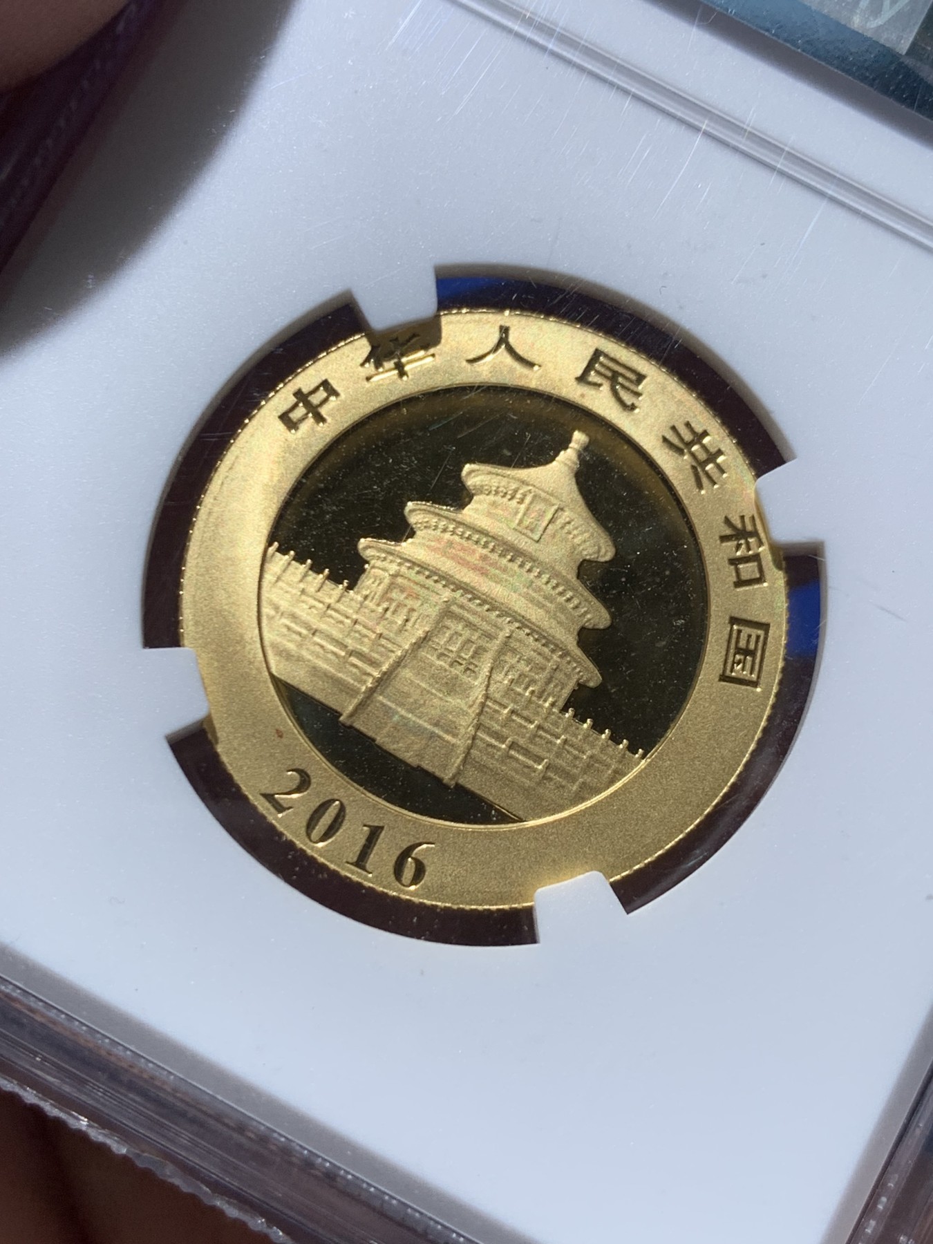 《竞宝斋》第257场-周日，周一 2场连拍 (全场包邮) NGC MS69 中国熊猫 2016年 200元 金币 15克 999金 高等级分数 亮闪闪得很漂亮