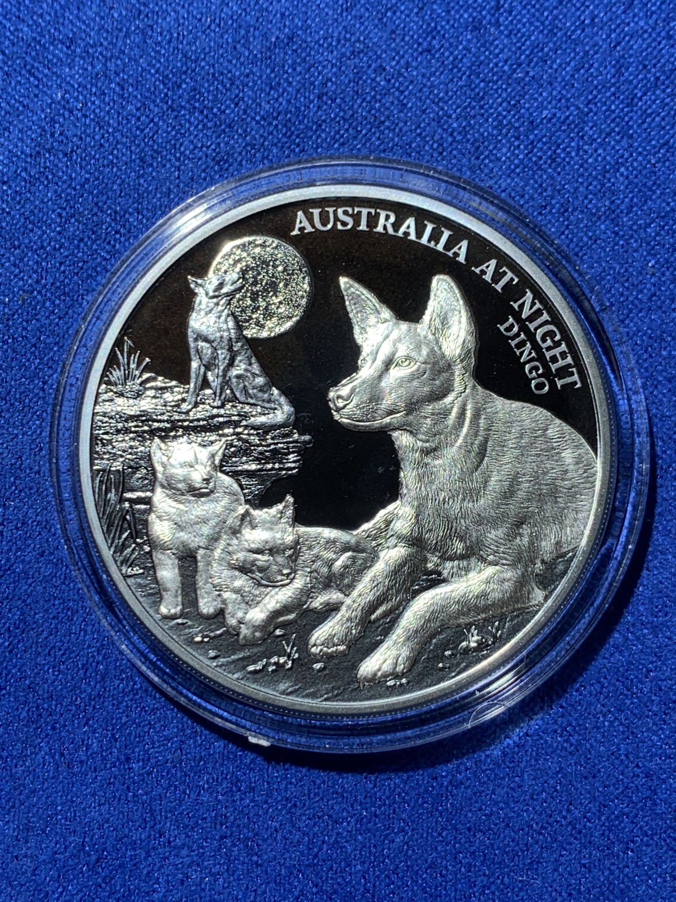 《竞宝斋》第257场-周日，周一 2场连拍 (全场包邮) 纽埃2021年发行澳大利亚夜间动物系列之鬣犬精制银币 礼盒装 抗氧钌化工艺 限量1000枚 市价950+