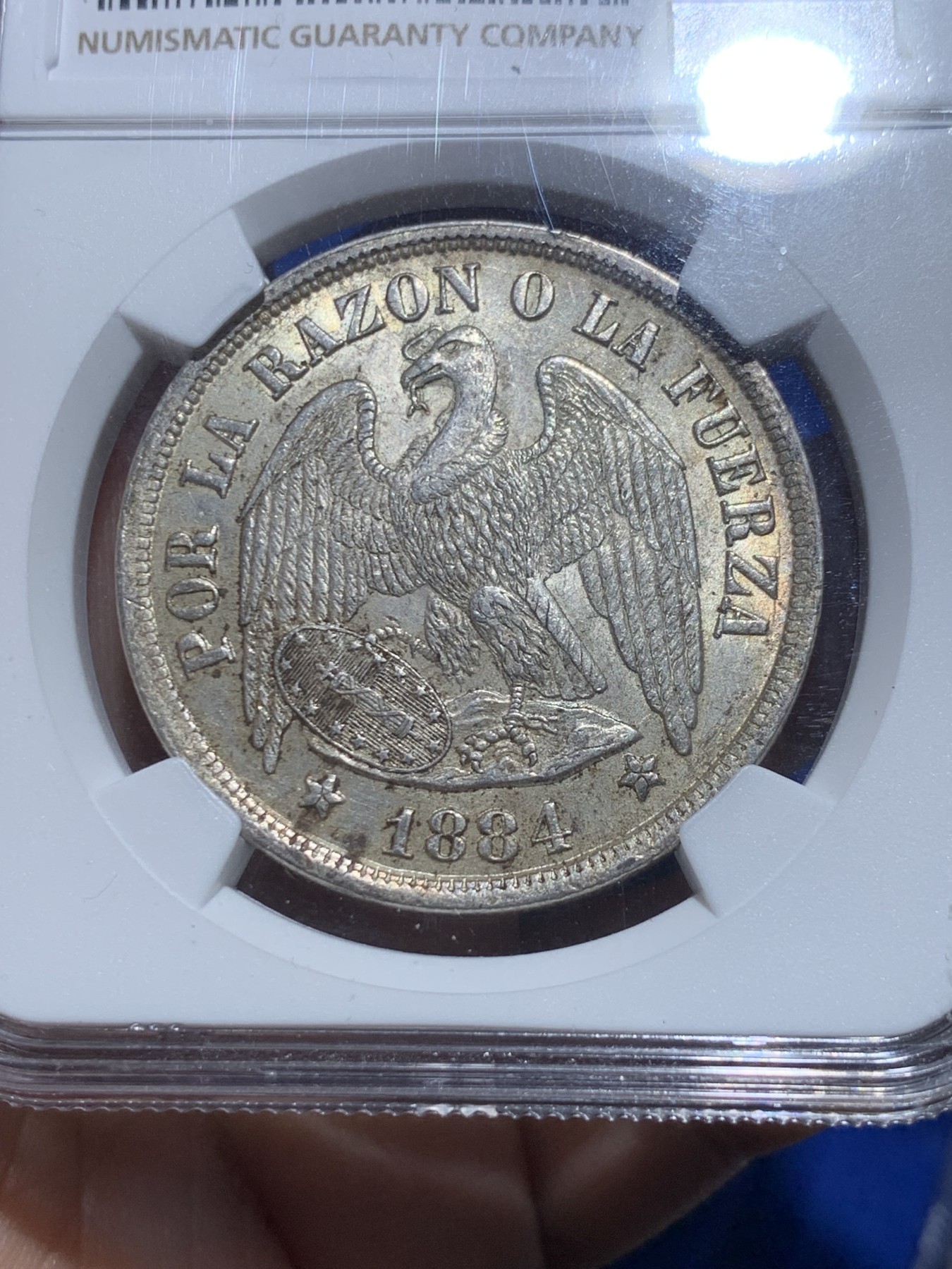 《竞宝斋》第257场-周日，周一 2场连拍 (全场包邮) NGC MS63 智利1884年秃鹰1比索，双面黄油彩非常见白币可比，为1883年硝石战争结束首先版，非常稀少，意义非凡。