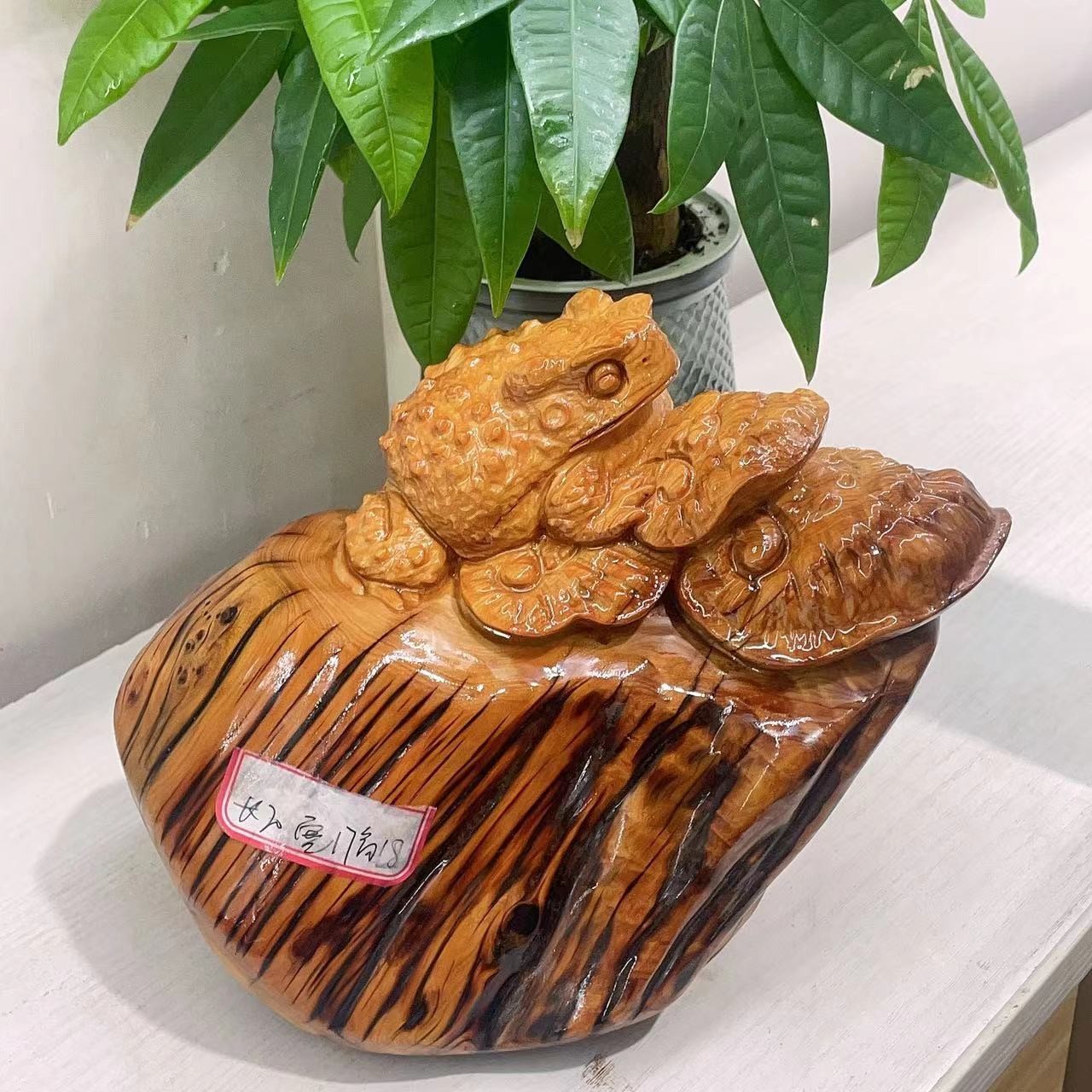 太行崖柏，呱呱来财！