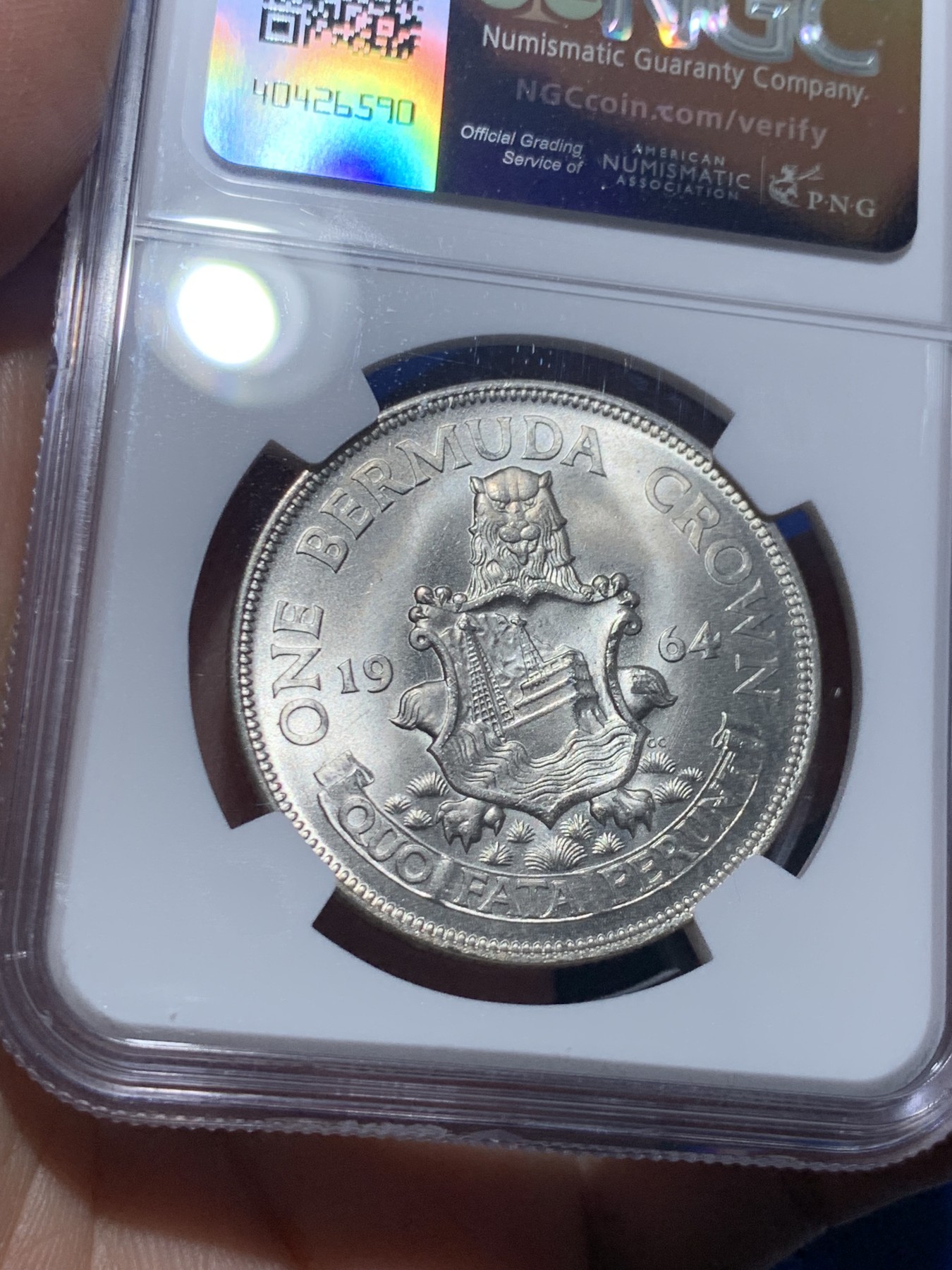 《竞宝斋》第257场-周日，周一 2场连拍 (全场包邮) NGC MS66 百慕大1964年伊丽莎白二世青年头像1克朗银币 经典女王头像 高分好品