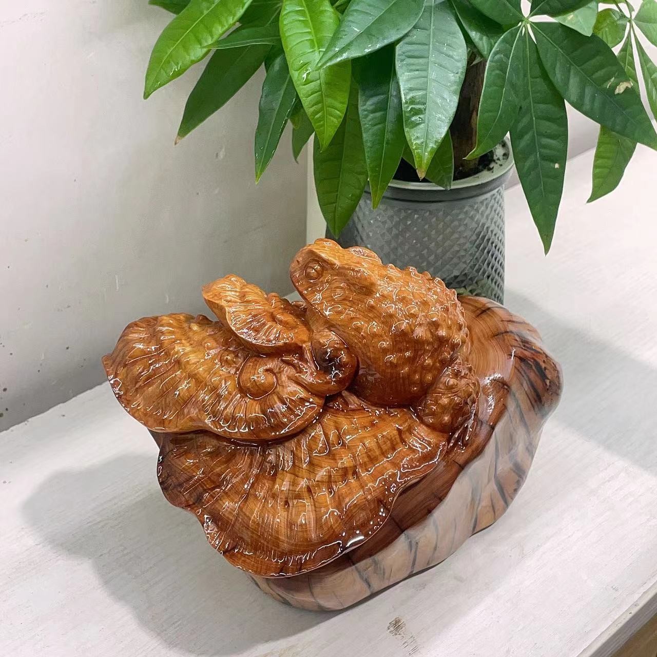 太行崖柏，呱呱来财！