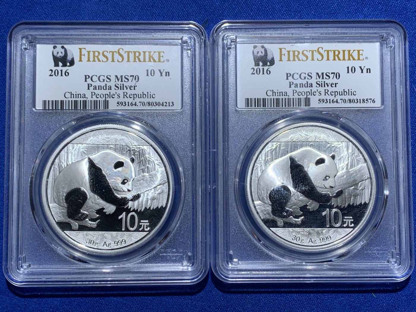 《竞宝斋》第257场-周日，周一 2场连拍 (全场包邮) 两枚一组 PCGS MS70 满分 2016年熊猫10元银币 初铸版带初打标