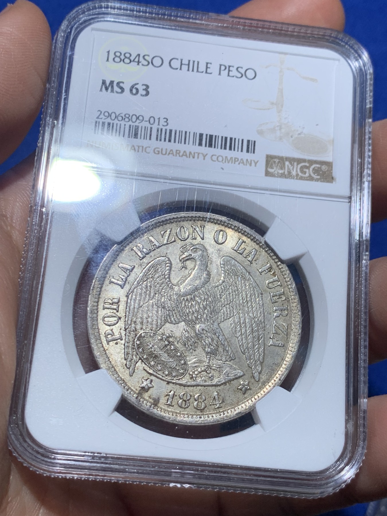 《竞宝斋》第257场-周日，周一 2场连拍 (全场包邮) NGC MS63 智利1884年秃鹰1比索，双面黄油彩非常见白币可比，为1883年硝石战争结束首先版，非常稀少，意义非凡。