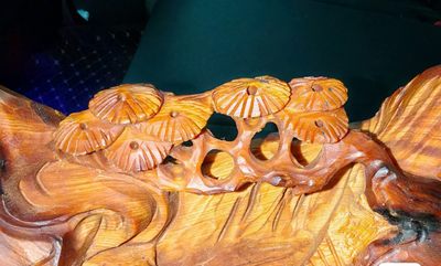 太行崖柏，品名“崖柏之巅” 太行崖柏，品名“崖柏之巅”