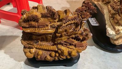 太行崖柏，品名“山里人家” 太行崖柏，品名“山里人家”