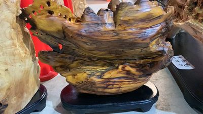 太行崖柏，品名“山里人家” 太行崖柏，品名“山里人家”